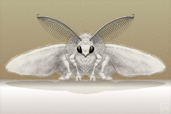 Benjamin Mitchley - Mothman - artwork image